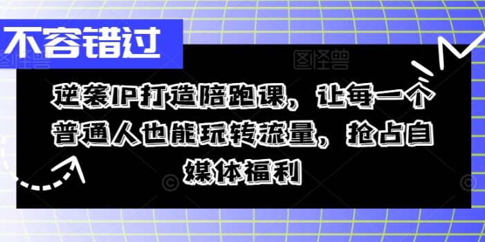 逆袭IP打造陪跑课,让每一个普通人也能玩转流量,抢占自媒体福利