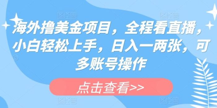 海外撸美金项目,全程看直播,小白轻松上手,日入一两张,可多账号操作【揭秘】