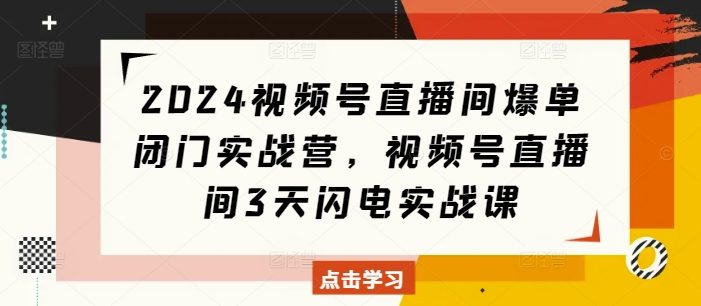 2024视频号直播间爆单闭门实战营,视频号直播间3天闪电实战课