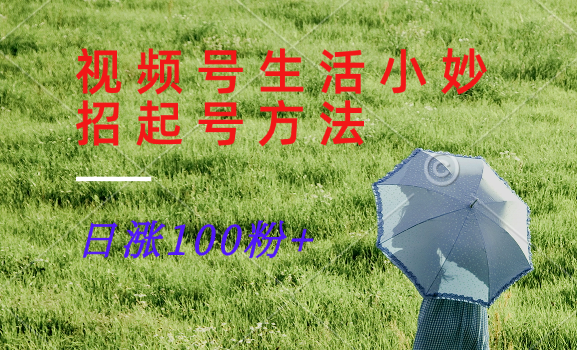 视频号生活小妙招分享赛道, 起号涨粉新方法,日涨100粉