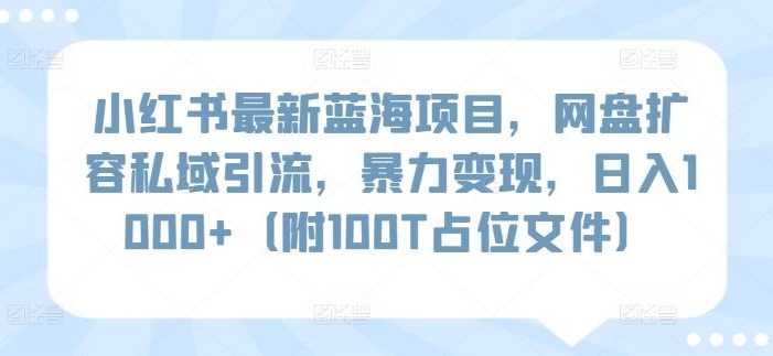 小红书最新蓝海项目,网盘扩容私域引流,暴力变现,日入1000+(附100T占位文件)【揭秘】