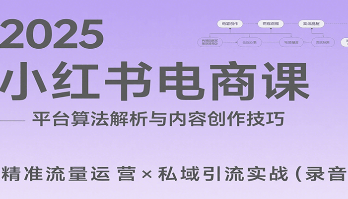 2025小红书电商课:解析算法,创作高转化内容,助力卖家获取流量实现变现(录音)