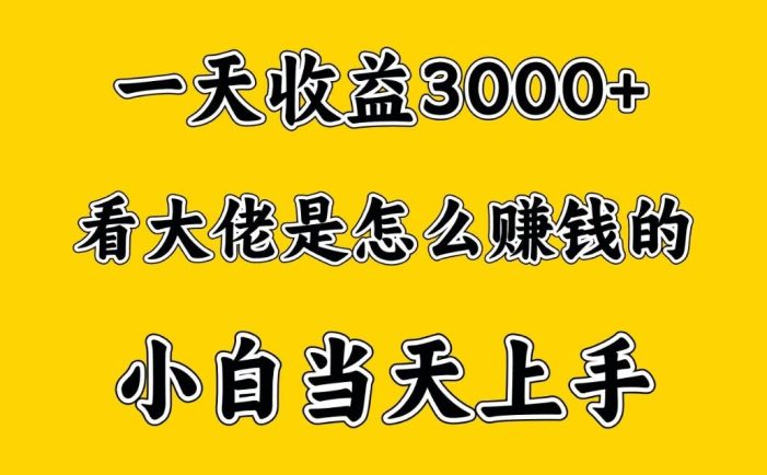 一天赚3000多,大佬是这样赚到钱的,小白当天上手,穷人翻身项目