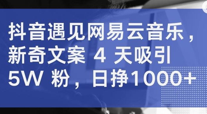 抖音遇见网易云音乐,新奇文案 4 天吸引 5W 粉,日挣1000+【揭秘】