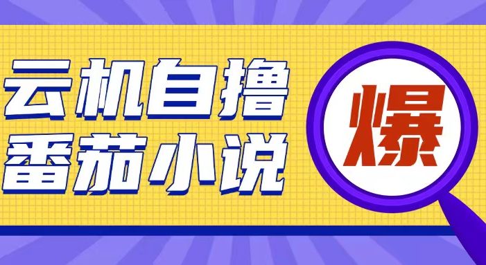 首发云手机自撸小说玩法,10块钱成本可撸200+收益操作简单【揭秘】