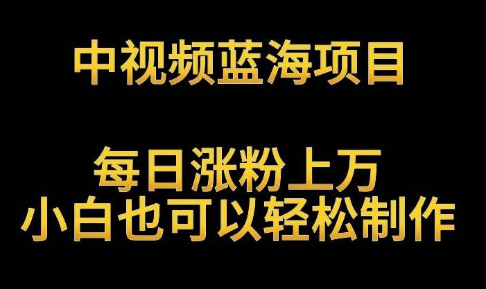 中视频蓝海项目,解读英雄人物生平,每日涨粉上万,小白也可以轻松制作,月入过万不是梦【揭秘】