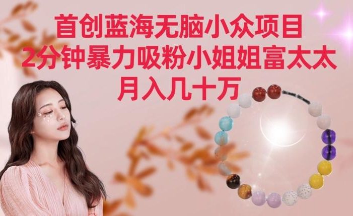 首创蓝海无脑小众项目,2分钟暴力吸粉小姐姐富太太,月入几十万【揭秘】
