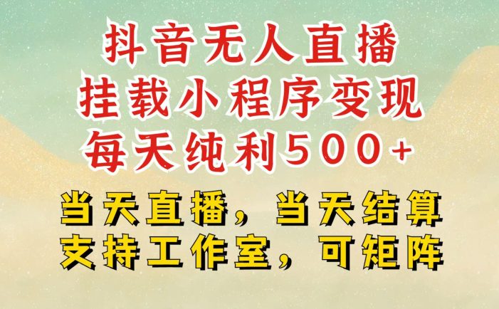 抖音无人挂机项目,轻松日入500+,挂载小程序玩法,不违规不封号,有号的一定挂起来