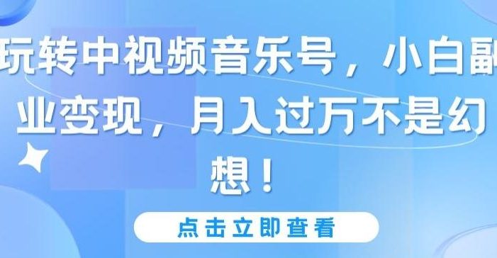 玩转中视频音乐号,小白副业变现,月入过万不是幻想【揭秘】