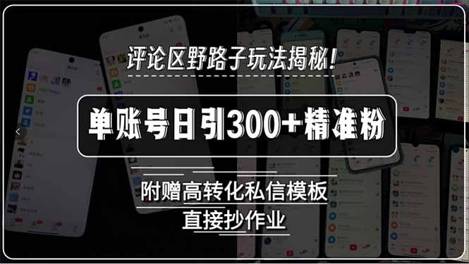 评论区野路子玩法揭秘!单账号日引300+精准粉,附赠高转化私信模板,直…